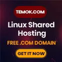 Temok.com Shared web hosting plan